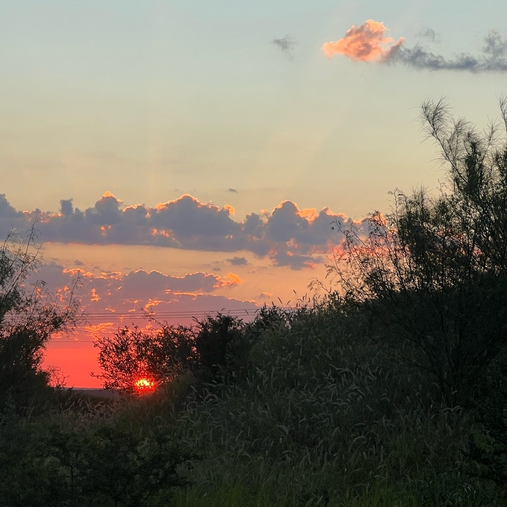 Meet your Posher, Terry